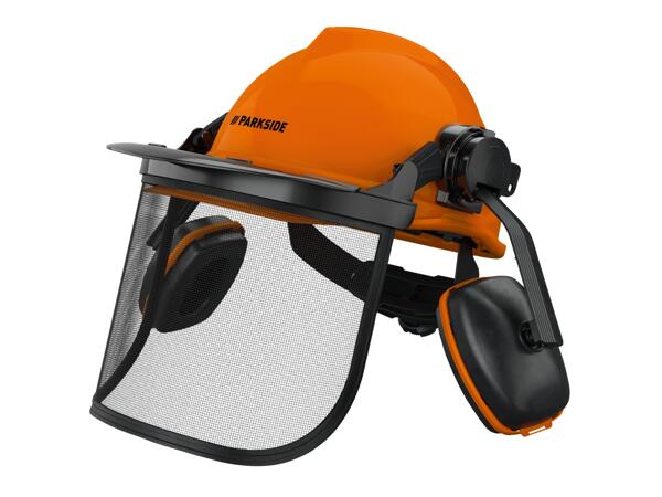 Forestry Safety Helmet