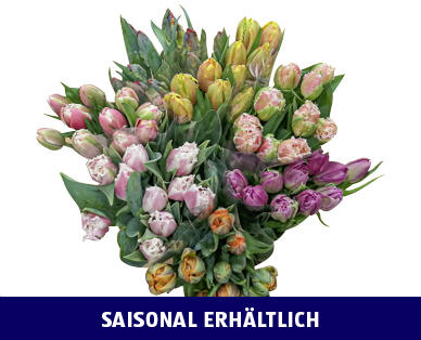 TULPEN BOUQUET