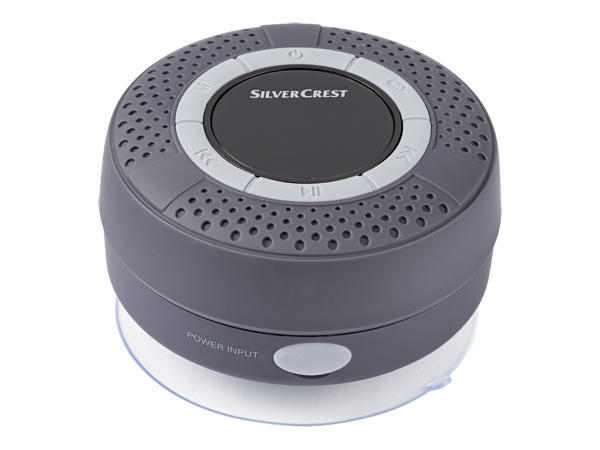 Bluetooth Bathroom Speaker