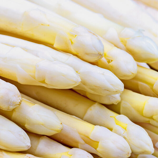 Spargel