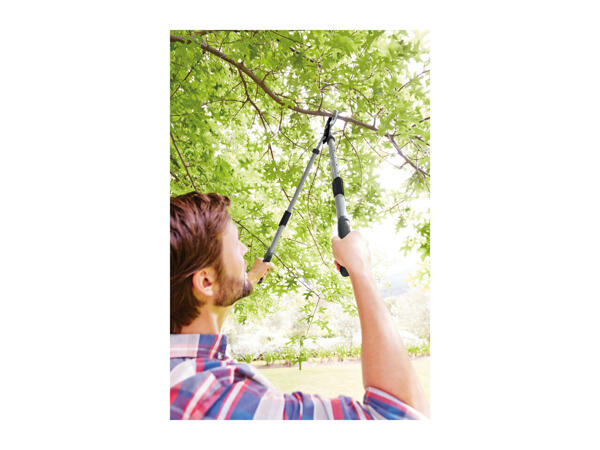 Parkside Extendable Loppers