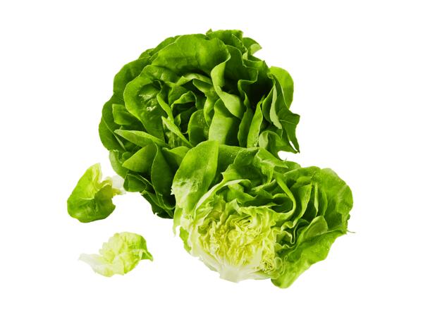 Cœurs de laitues pommées suisses