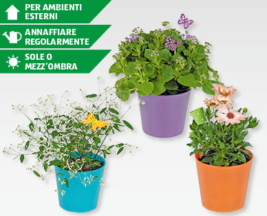 Fiori in vaso di vetro
