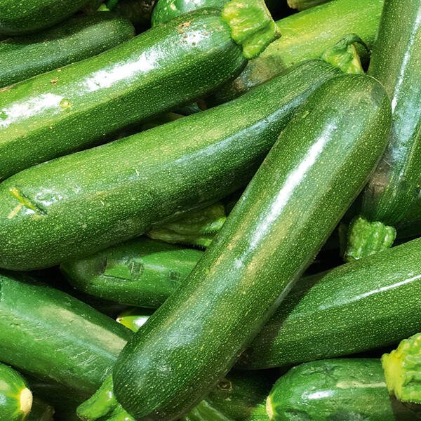 Bio-Zucchini
