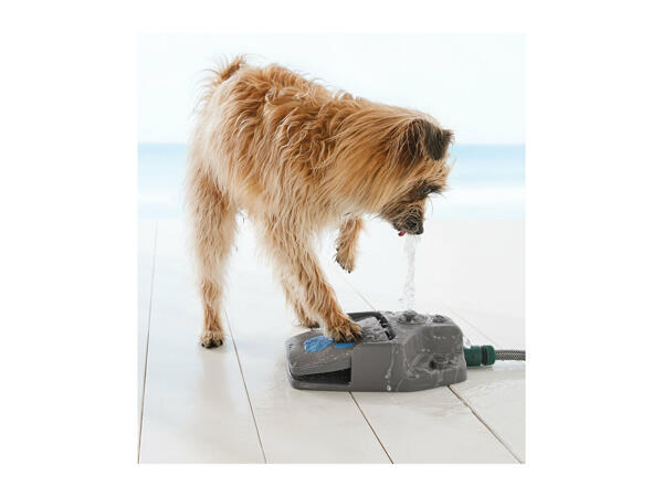 Zoofari Step-On Dog Water Fountain