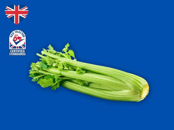 British Celery
