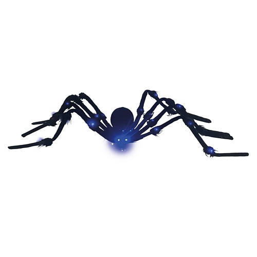 5' Light Up Spider, Black