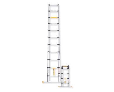 Échelle télescopique en aluminium WORKZONE(R)