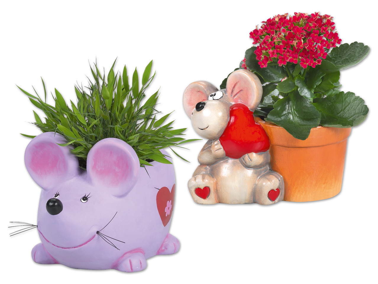 Bepflanzte „Valentin"-Keramikmaus