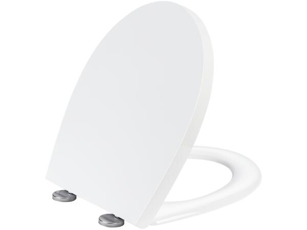 Toilet Seat
