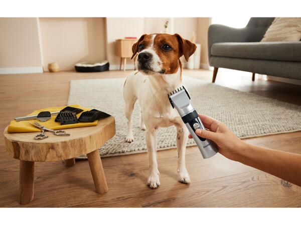 Pet Grooming Set