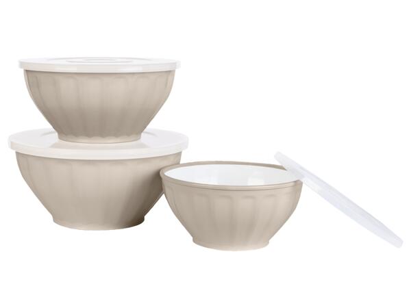 Bowl Set with Lid