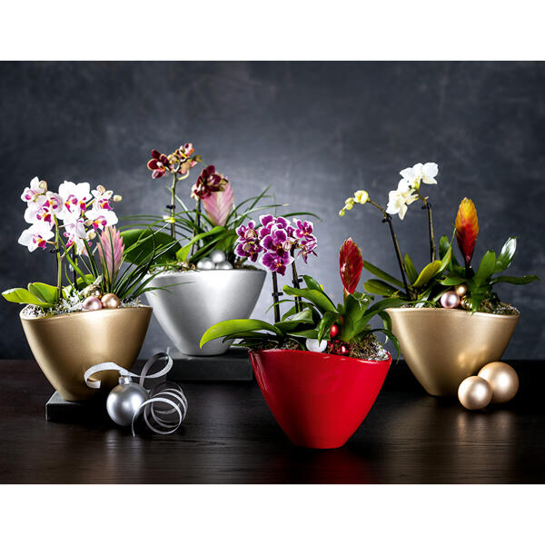 Exklusives Weihnachts-Arrangement