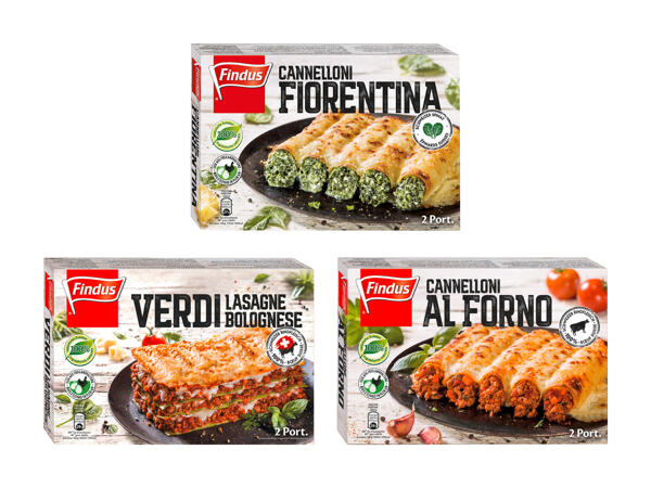 Plat préparé Findus