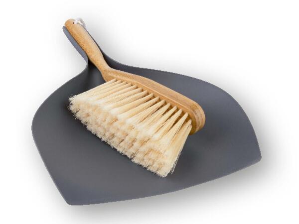 Dustpan and Brush Set
