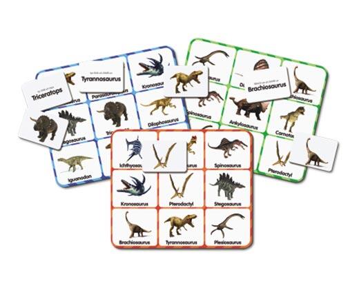 The Learning Journey 
 Bingo Match It