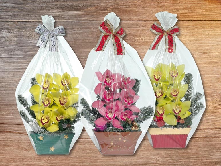 Compositions florales de 6 orchidées de Noël (dés 21.12.)
