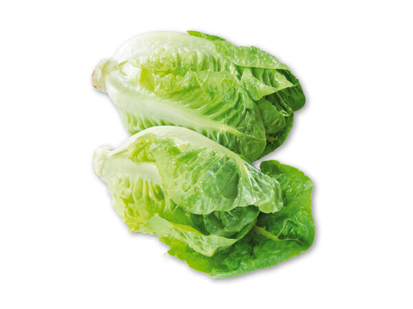 Dansk økologisk hjertesalat