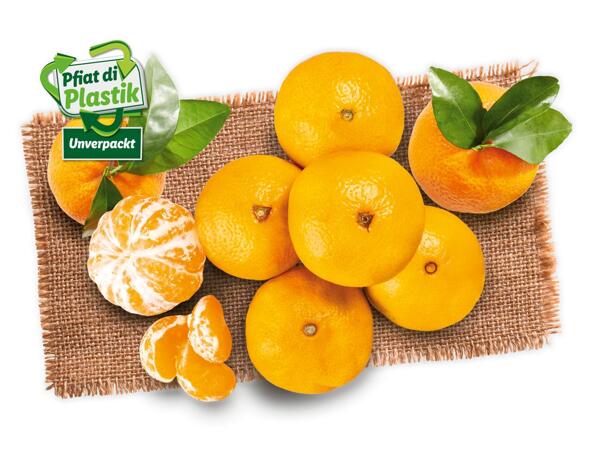 Mandarinen mit Blatt