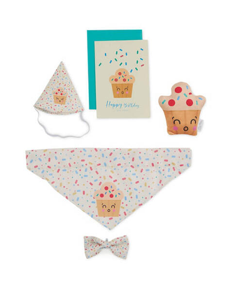 Pet Birthday Box