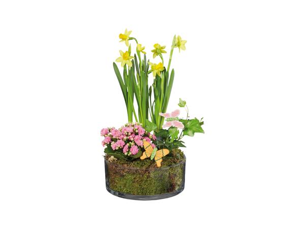 Flower Composition
