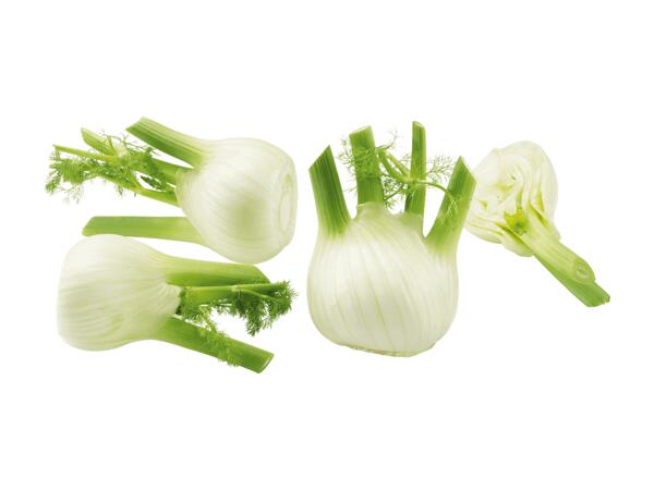 Finocchio
