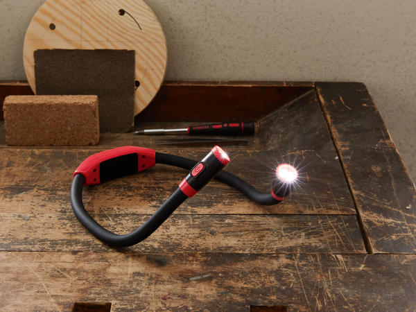 Dual LED Neck Light