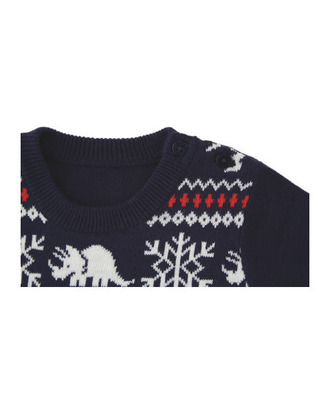Baby Dinosaur Christmas Jumper