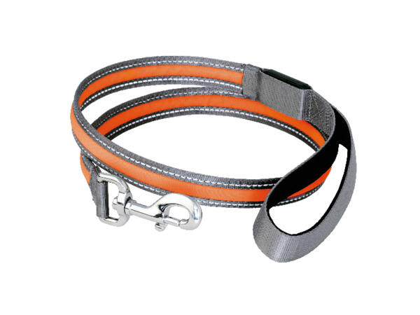 LED Light-Up Dog Harness / LED Light-Up Dog Lead