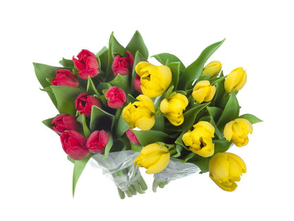 Tulpenstrauß