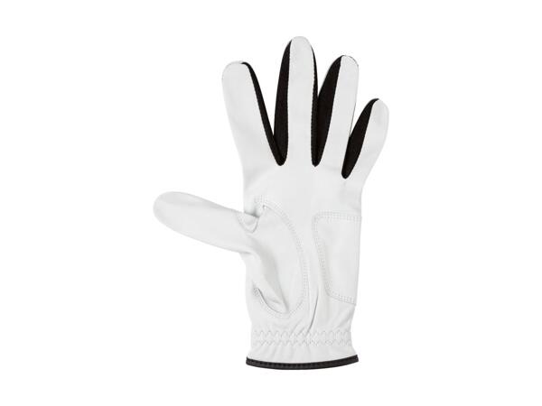 Mens' Golf Glove