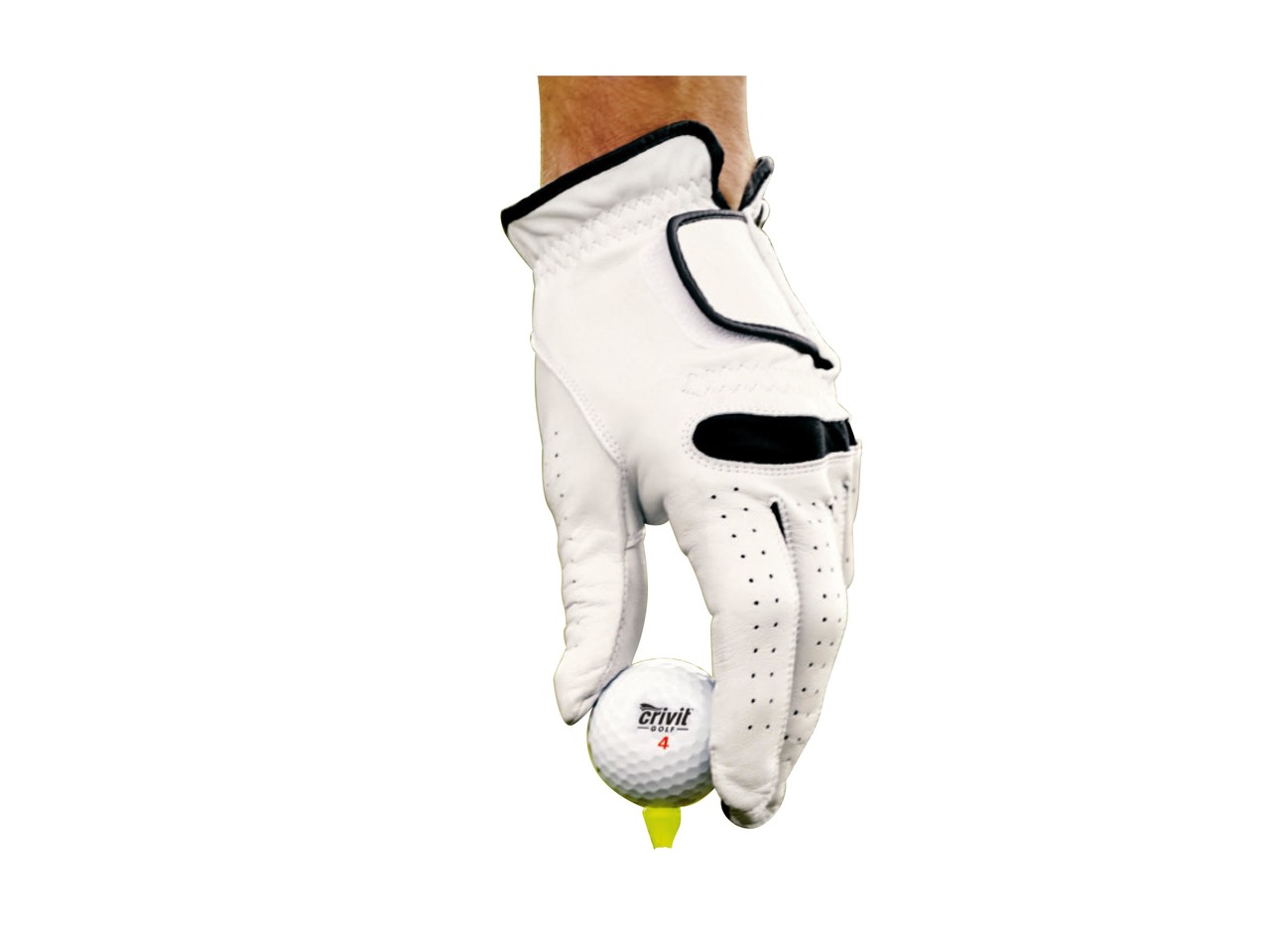 CRIVIT Ladies'/Men's Glove