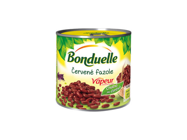 BONDUELLE ČERVENÉ FAZOLE / CIZRNA