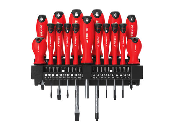 Screwdriver and Bit Set