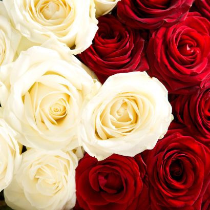 Roses