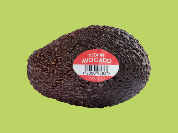 Medium Avocado