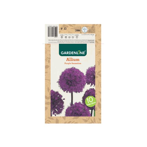 GARDENLINE(R) 				Bulbes à fleurs ail d'ornement