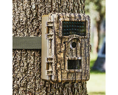 Wildlife Camera