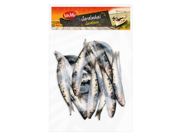 Sardinen