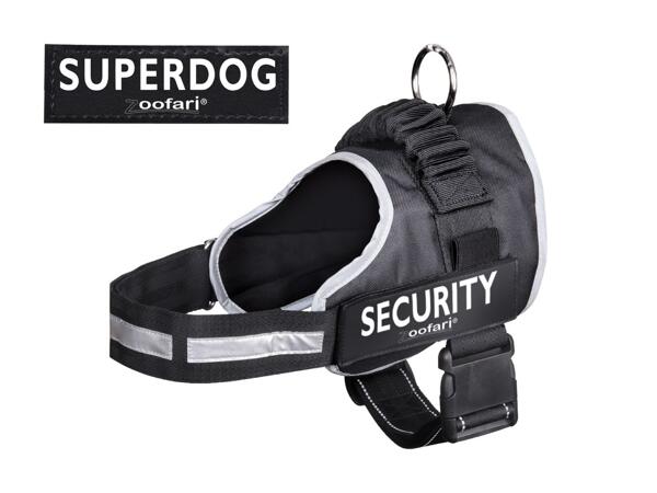 Harnais pour chien