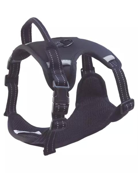 Autumn Dog Harness
