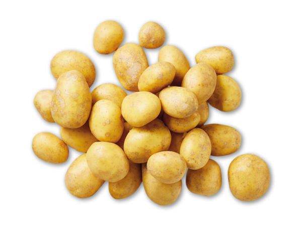 Kalkunsalami