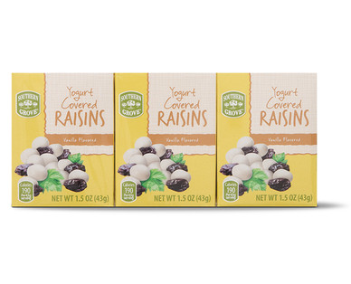 Southern Grove 6-Pack Vanilla Yogurt Raisins