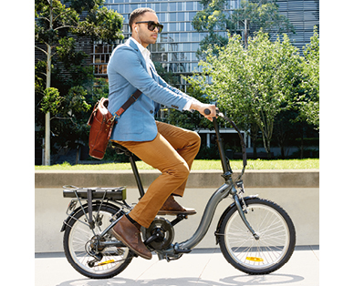 Folding Electric Bike
