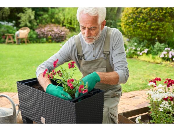 2-in-1 Raised Planter