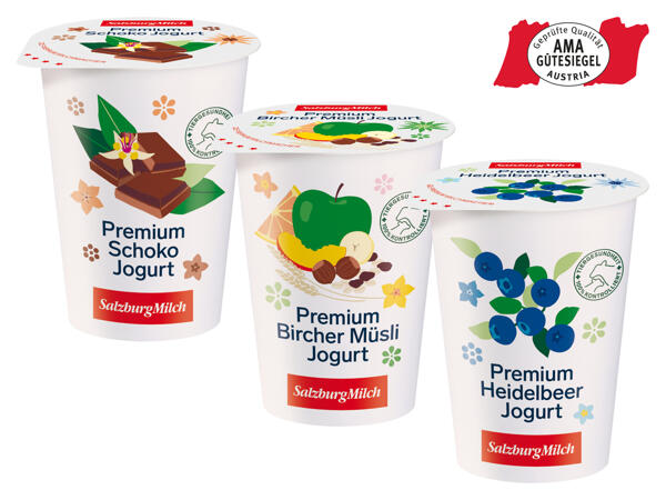 SalzburgMilch Fruchtjoghurt