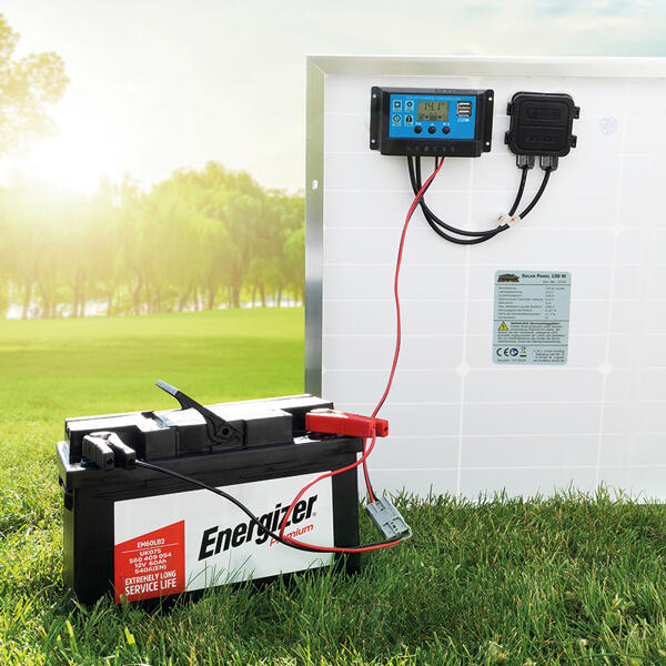 Solarpanel 100 W