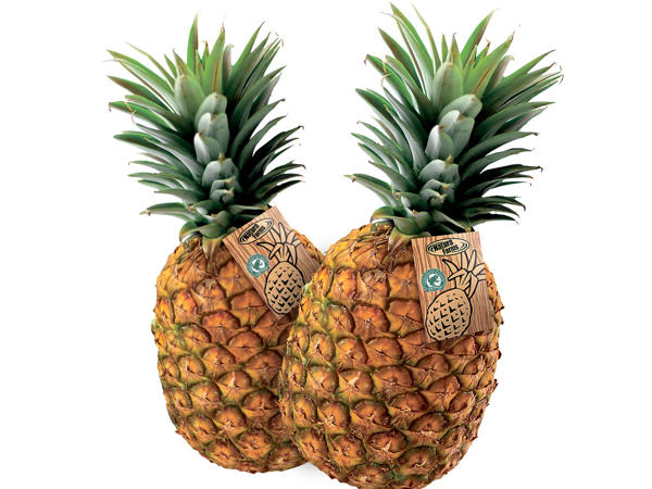 Ananas