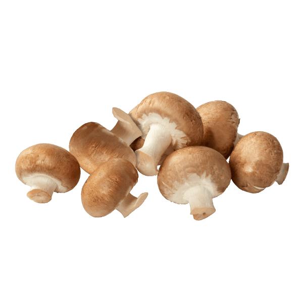 Kastanjechampignons