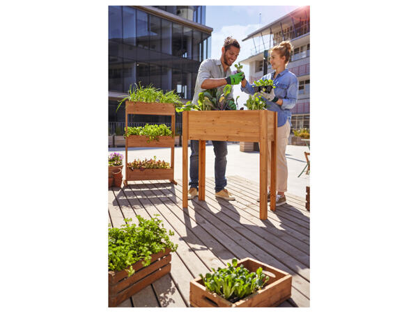 Raised Planter